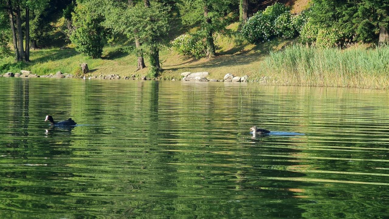Dimensione Armonica - Elegance&comfort among lakes&hills Comabbio Exterior foto